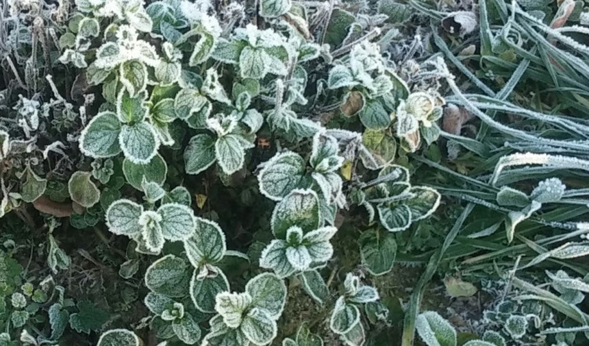 Winterzeit - Neues Jahr 2025