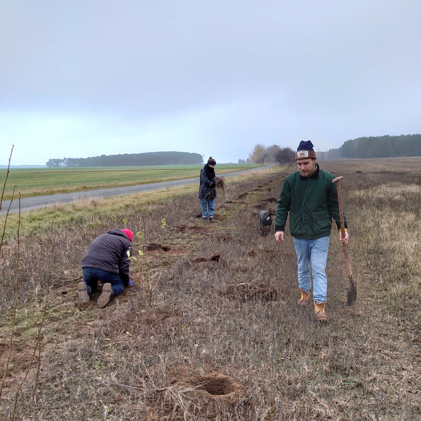 Winter Pflanzung (Agroforst)