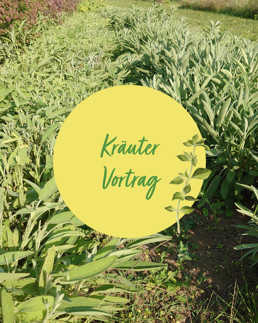 Gruppen - Kräutervortrag in Ihren Räumen
